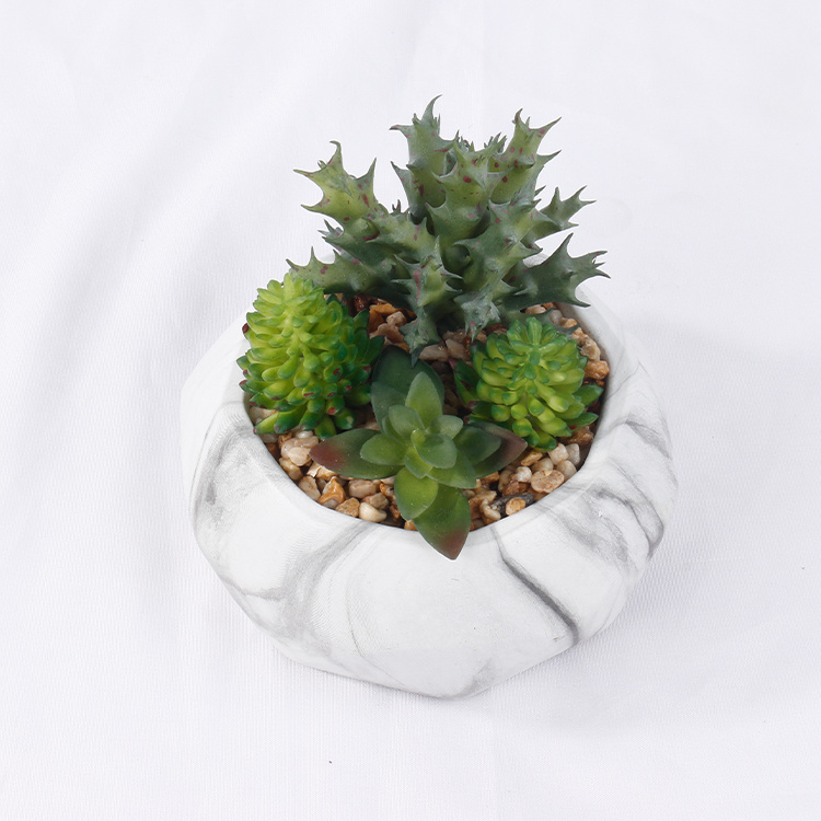 Potted-Succulent-Arrangement-Plants-Artificial-Succulents-Home-Decoration (3).jpg